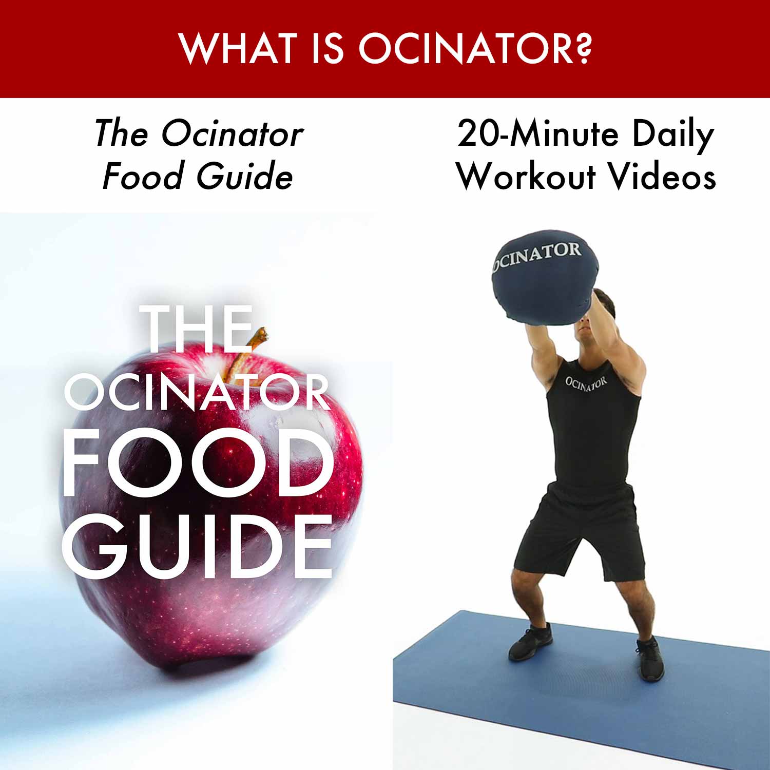 What Is Ocinator_ What Is Ocinator_
